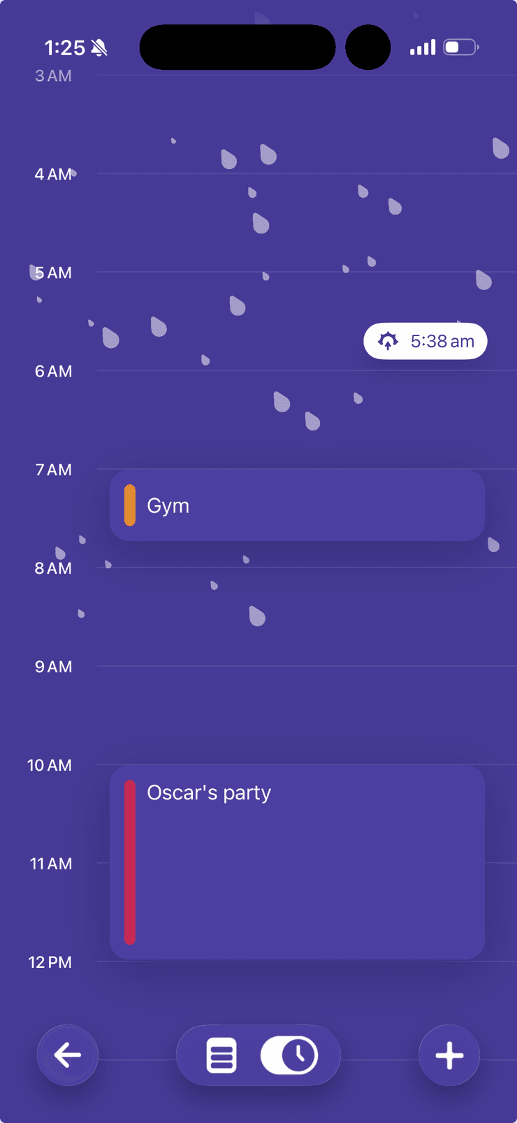 Screenshot of the hourly weather on the Day View on iPhone